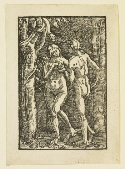 Adam en Eva Eten de Verboden Vrucht, c.1513 door Albrecht Altdorfer